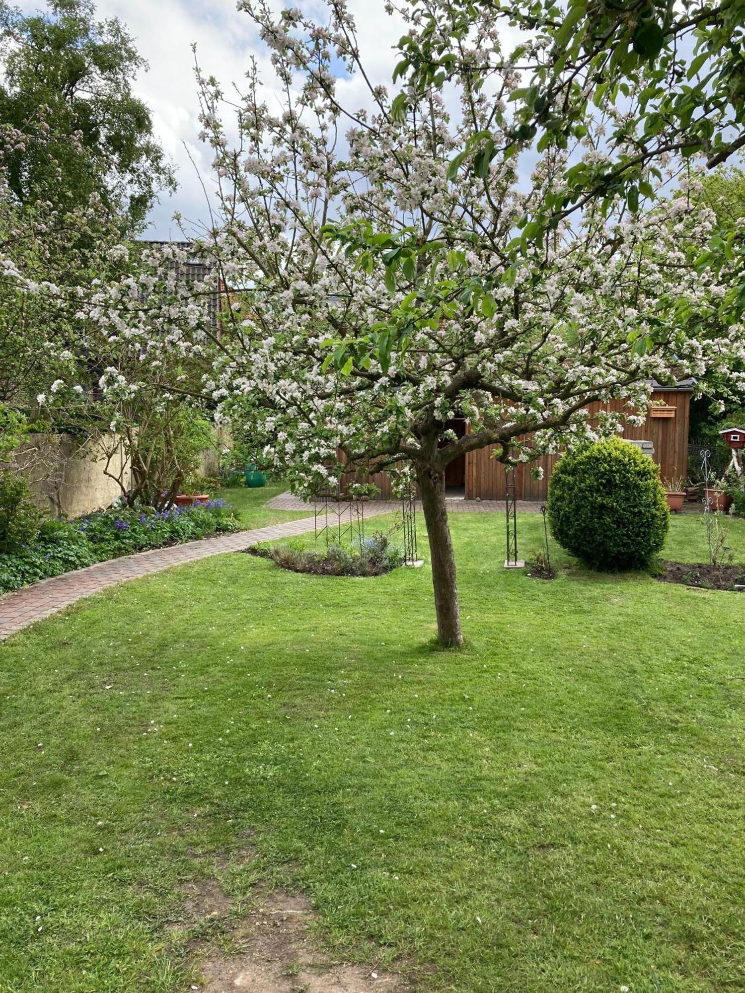 Charmante-Ferienwohnung-In-Der-Fjordstadt Flensburgo Esterno foto